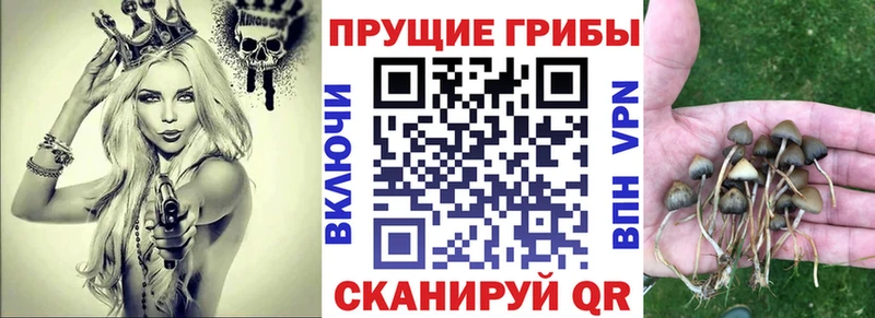 Галлюциногенные грибы прущие грибы  Купить где  Лагань 